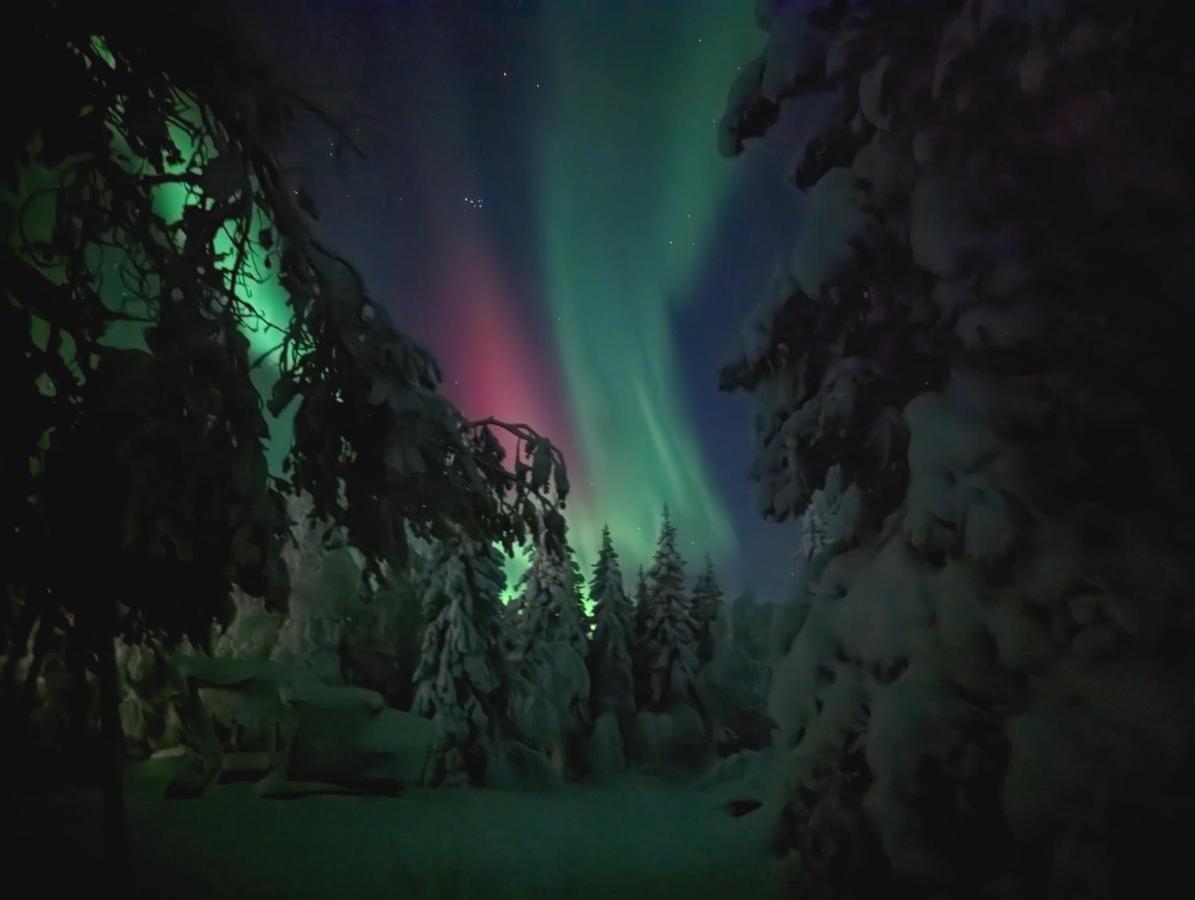 Lapland Snow Cabin Masugnsbyn Buitenkant foto