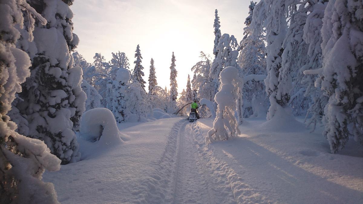 Lapland Snow Cabin Masugnsbyn Buitenkant foto